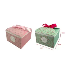 CAJA REGALO DISEÑOS SURTIDOS 22X22X15CM