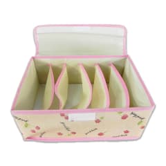 ORGANIZADOR DE ROPA POLIESTER 25X32X12.5CM | 12 UNID