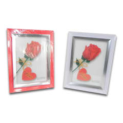 MARCO DE FOTO PVC 24 13X18