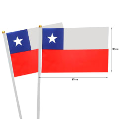 BANDERAS DE CHILE CON VENTOSA 30X45CM | 12 UNID