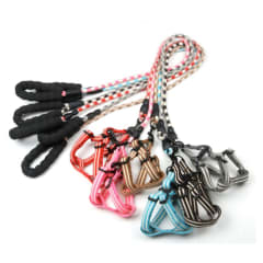 CORREA PARA MASCOTA COLOR LISO CON REFLECTOR  1.2M / 1.2CM  2.5CM| 12 UNID