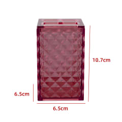 PORTACEPILLO DE DIENTES TRANSPARENTE BURDEO 10.7X6.5X6.5CM