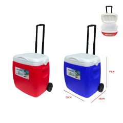 COOLER COLOR LISO 50L