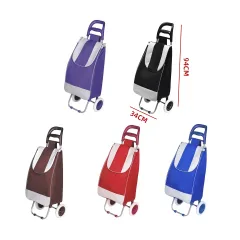 CARRITO DE FERIA 2 RUEDAS VARIEDAD DE COLORES | VENTA MAYORISTA