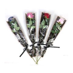 ROSA ARTIFICIAL INDIVIDUAL