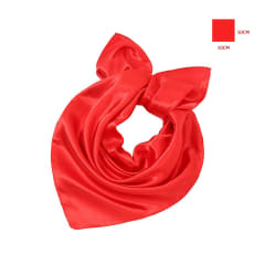 PANOLETA ROJA 50X50CM / VENTA POR MAYOR