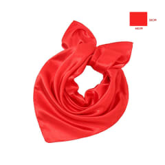 PANOLETA ROJA 50X60CM / SOLO POR MAYOR