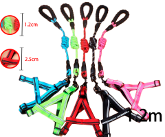 CORREA PARA MASCOTA COLOR LISO CON REFLECTOR LINEAS 1.2M / 1.2CM 2.5CM| 12 UNID