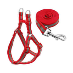 CORREA PARA MASCOTA COLOR LISO 2CM X 1.2 MT  | 12 UNID