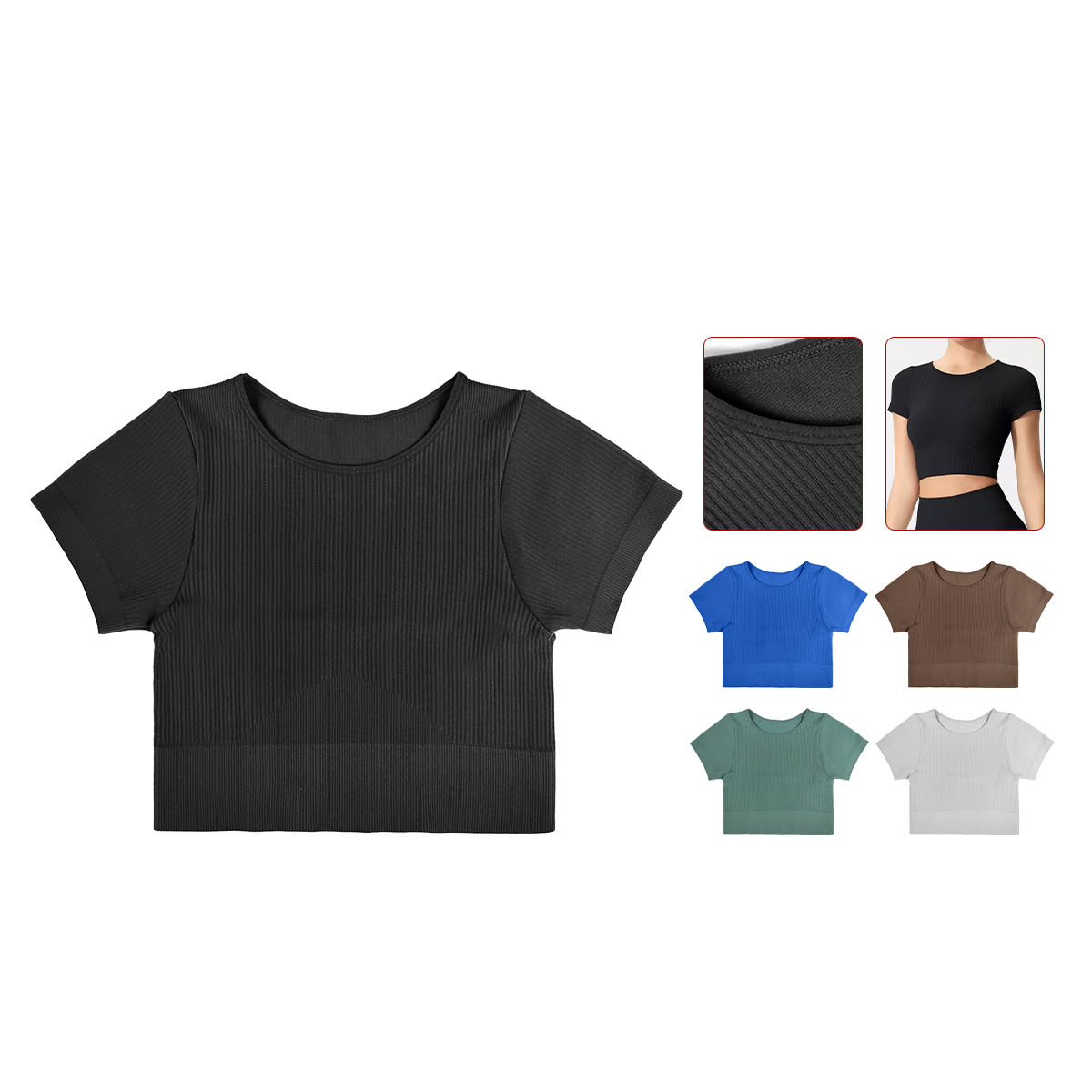 CAMISETA  LOLA  ACANALADO SIN COSTURA MANGA CORTA  M-L/L-XXL1