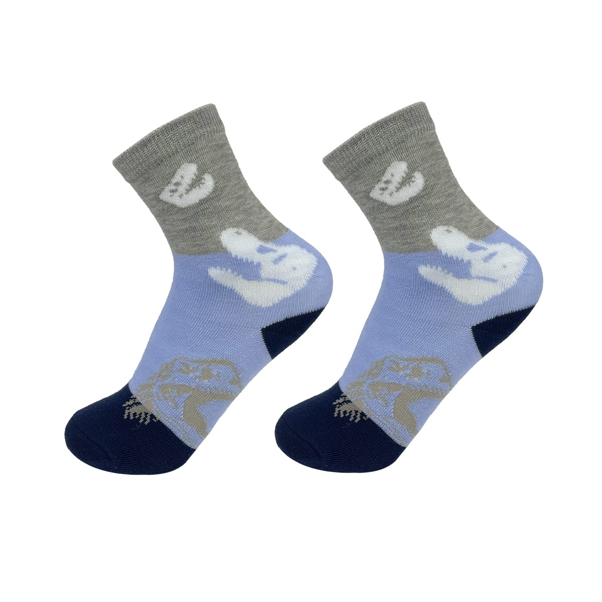 CALCETINES DE NIÑO LISO DISEÑO DINOSAURIO TALLA  3-6 | 12 UNID6