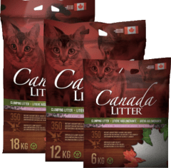 CANADA LITTER TM Arena Sanitaria 18 Kg CANADA LITTER TM Arena Sanitaria 18 Kg