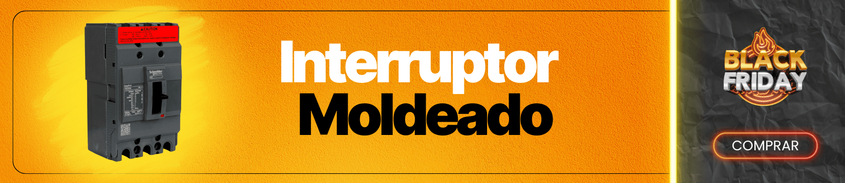INTERRUPTOR MOLDEADO SCHNEIDER