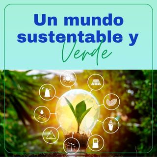 La importancia de las energías renovables en el mundo actual y su impacto futuro