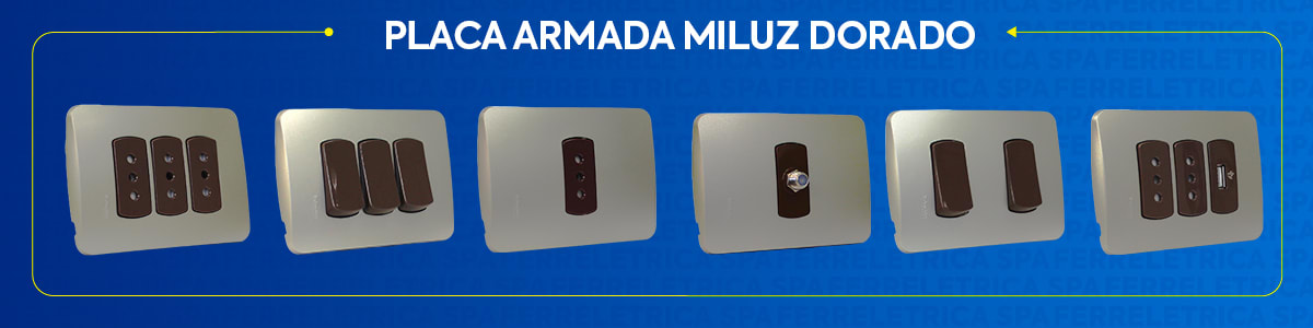 PLACA ARMADA MILUZ DORADO