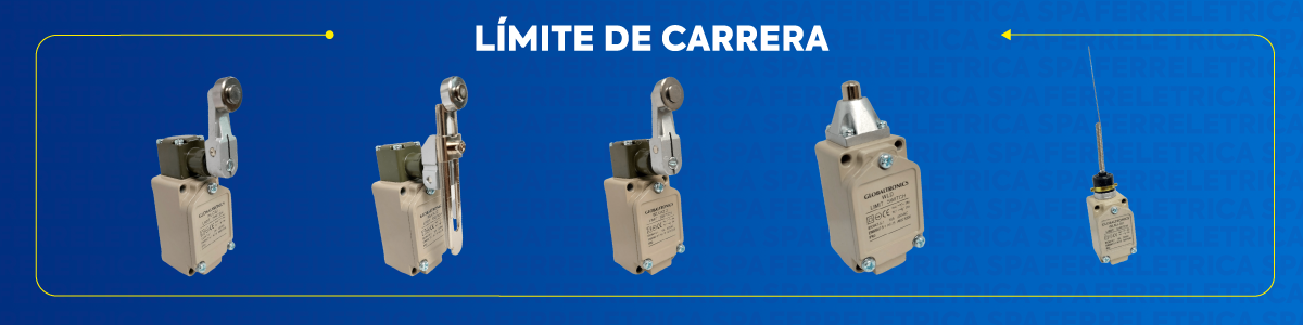 Final de Carrera