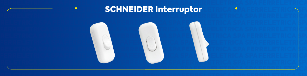 SCHNEIDER Interruptor