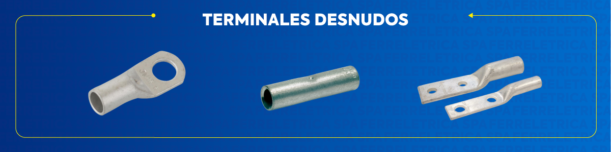 TERMINALES DESNUDOS