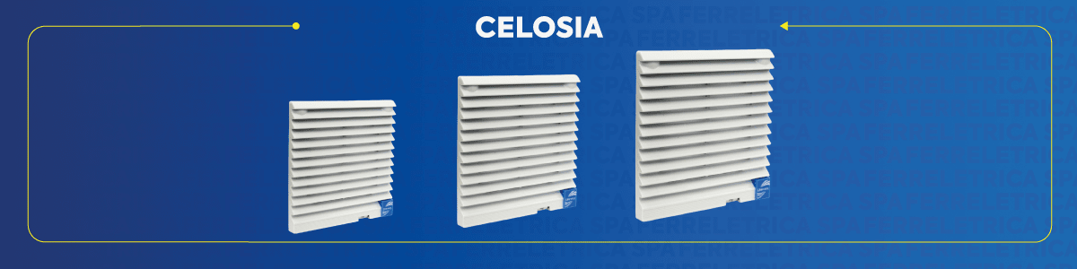CELOSIA 