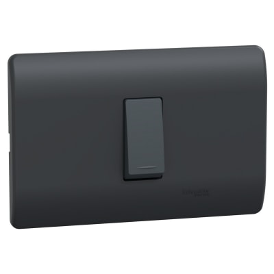 Interruptor Simple 9/24 16A 250V Black MWD620661