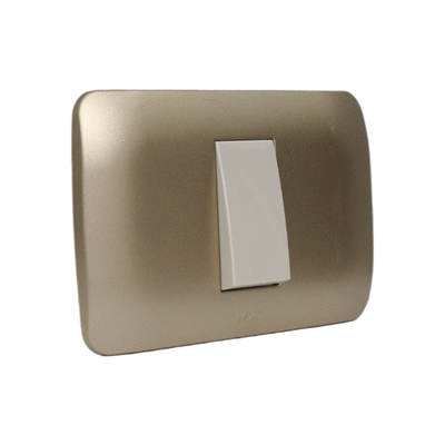 Interruptor 9/12 10a Beige / Titanio LEXO