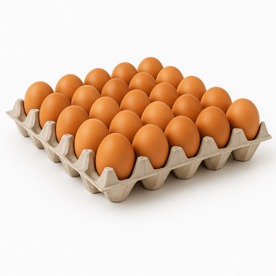Bandeja Huevos Gallina Feliz 1ra - 30Und1