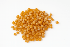 Maiz Pop Corn (Curagua) - 1k