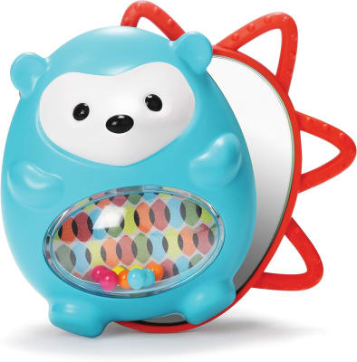 Puerco espín sensorial1