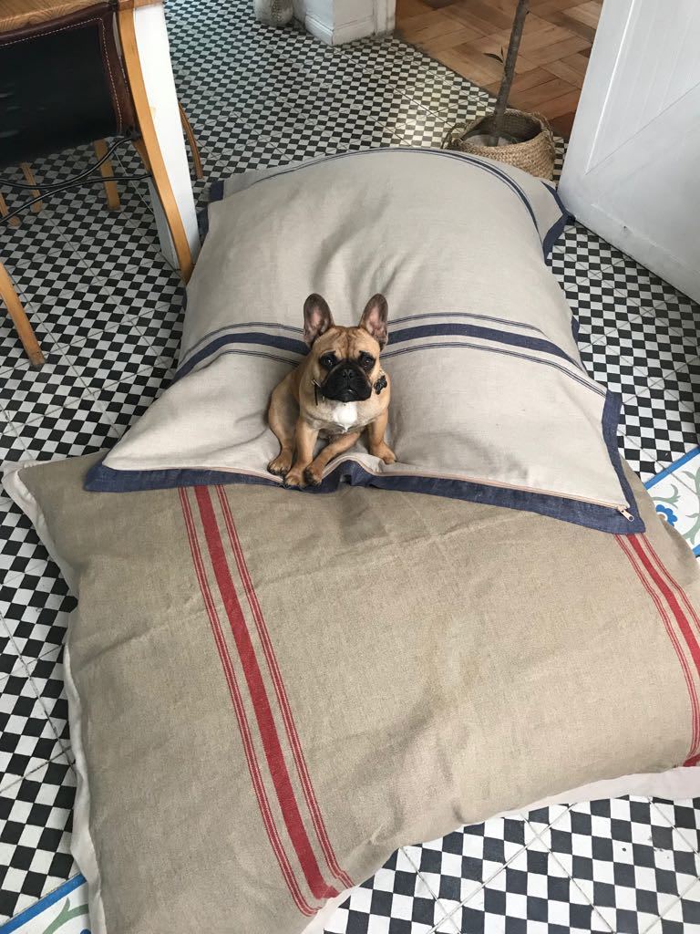 lino