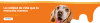 alimento perro