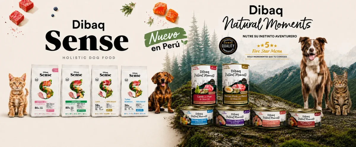 alimento perro