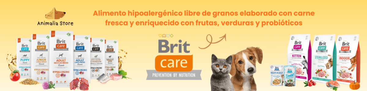 alimento perro