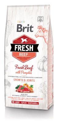 Brit Fresh Beef with Pumpkin Puppy Large