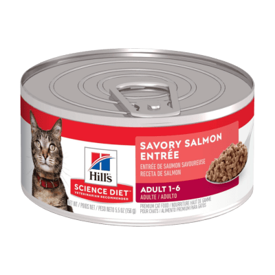 Hill´s SD Feline Adult Salmon 156 gr