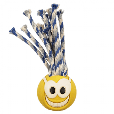 Chuckit! Fanatic