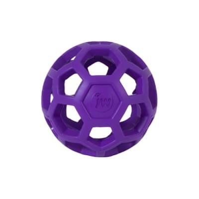 JW Hol-Ee Roller Ball
