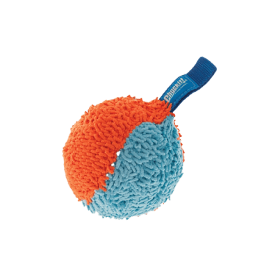 Chuckit! Indoor Shaker