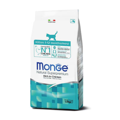 Monge Feline Kitten