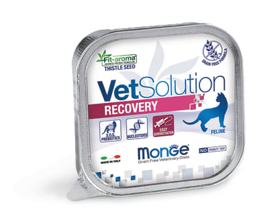 Monge Vet Solution Feline Recovery 100 gr1