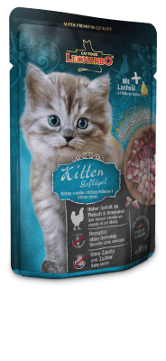 Leonardo Kitten Ave1