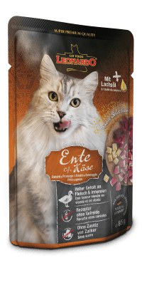 Leonardo Pato y queso