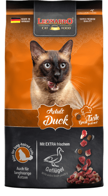 Leonardo Adult Duck1