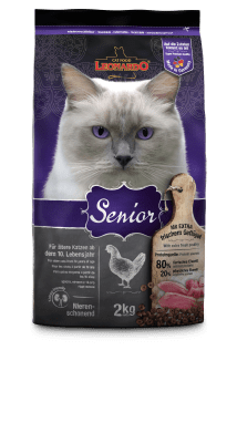 Leonardo Adult Senior