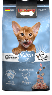 Leonardo Kitten GF1