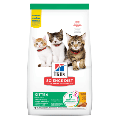Hill's SD Kitten