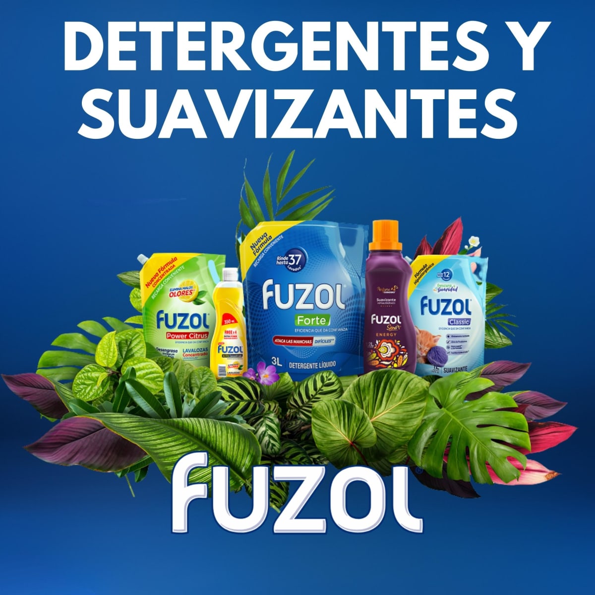 Detergente y Suavizante