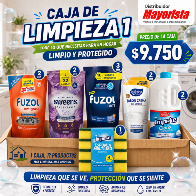 ASEO HOGAR 1