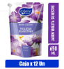 JABON BALLERINA VIOLETA SILVESTRE 650ml1