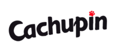 Cachupin
