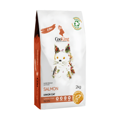 Cooking Cat Kitten1